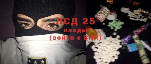 прущие грибы Ростов