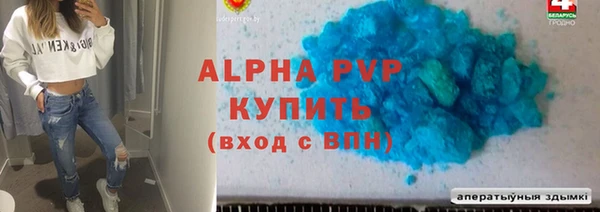 прущие грибы Ростов