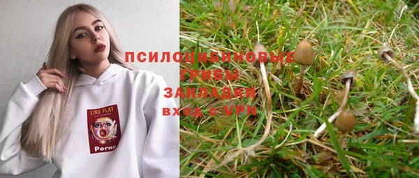 прущая мука Абаза