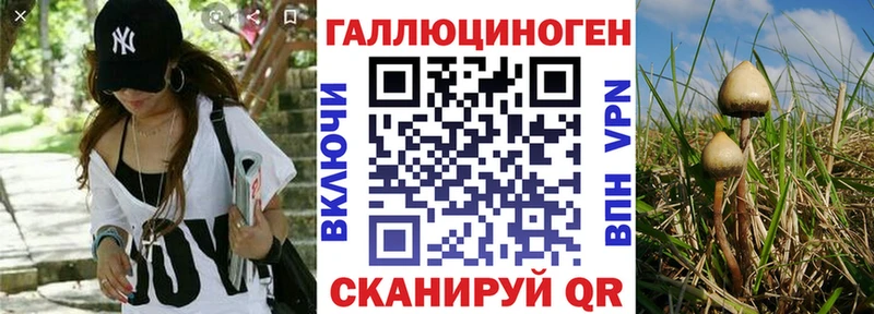 ссылка на мегу рабочий сайт  Задонск  Псилоцибиновые грибы мухоморы 